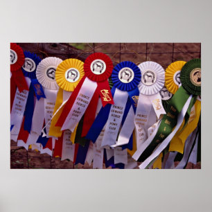 The Ribbons Poster