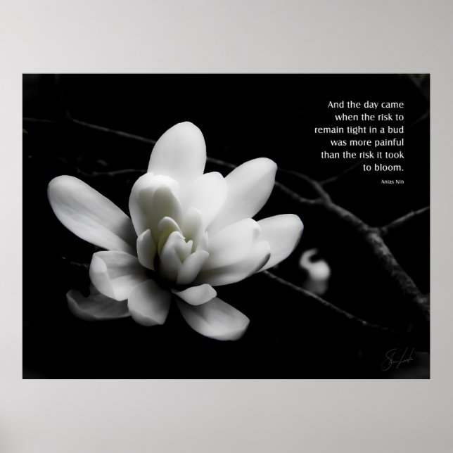 The Risk to Bloom Poster (Front)