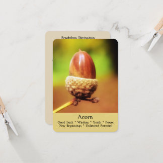 The Ritual, Divination & Healing Cards - Acorn