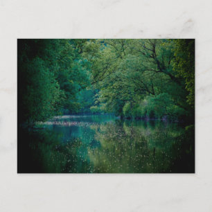 The River • Postcard