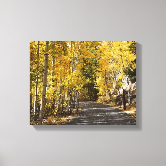 The Road Goes Through the Aspens Canvas Print (Front)