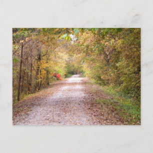 The Road Less Travelled Postcard