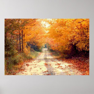 The Road Less Travelled Poster