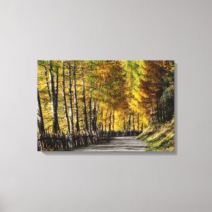 The road to autumn canvas print
