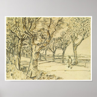 The Road to Tarascon with a Man Walking, Van Gogh Poster