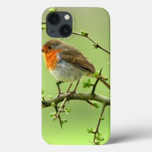 The Robin iPhone 13 Case