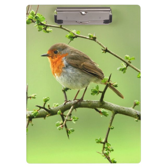 The Robin Clipboard (Front)