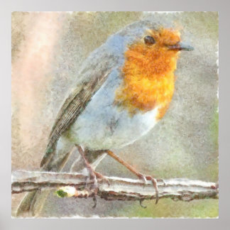 The Robin Is A Gabriel Watercolor Poster