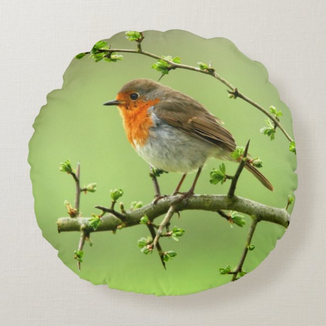 The Robin Round Cushion (Front)