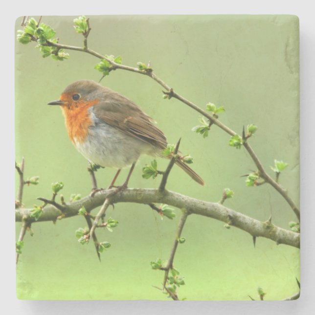 The Robin Stone Coaster (Front)