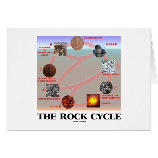 The Rock Cycle (Geology Earth Science) (Front Horizontal)