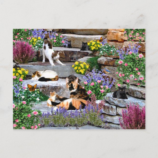 "The Rock Garden" Postcard (Front)