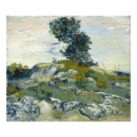 The Rocks Vincent van Gogh 
