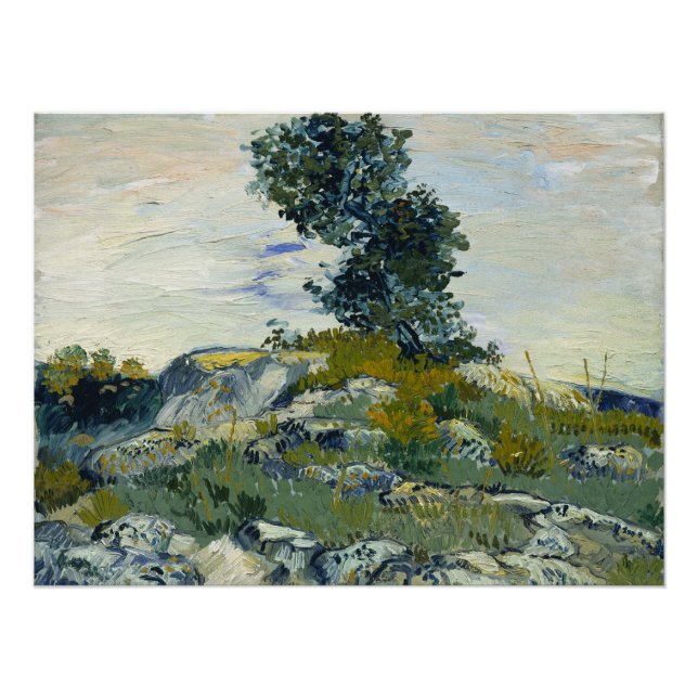 The Rocks Vincent van Gogh  Poster (Front)