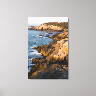The rocky coast of Isle au Haut in Maine's Canvas Print
