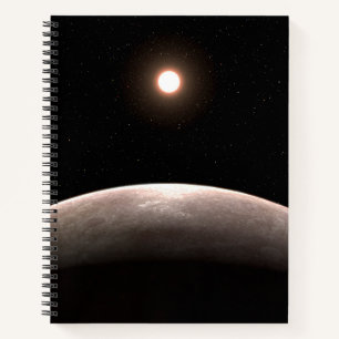 The Rocky Exoplanet Lhs 475 B And Its Host Star. Notebook