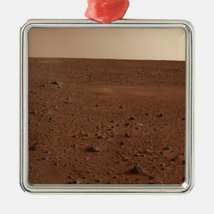 The rocky surface of Mars Metal Tree Decoration