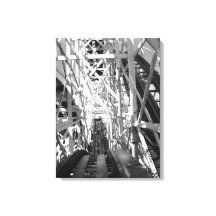 The Roller Coaster