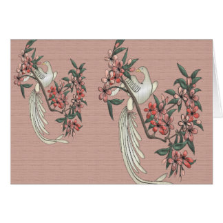 The Romance of SIlk