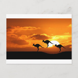 THE ROO RUNNERS. POSTCARD