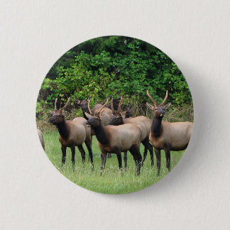 The Roosevelt Elk Herd 6 Cm Round Badge