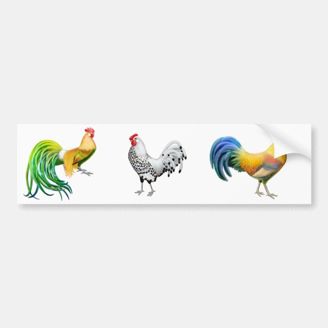The Roosters Bumper Sticker (Front)