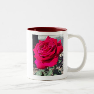 THE ROSE #1 MUG