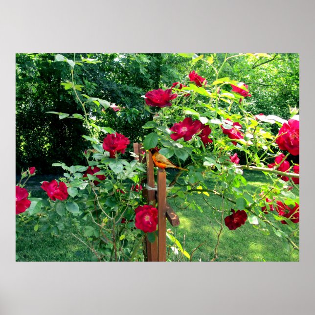 THE ROSE GARDEN  POSTER (Front)
