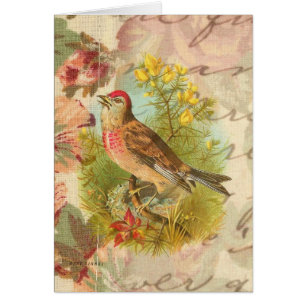 The Rose Linnet All Occasion Blank Greeting Card