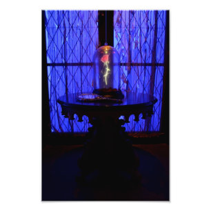 The Rose Photo Print