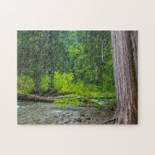 The Ross Creek Cedars Scenic Area Jigsaw Puzzle