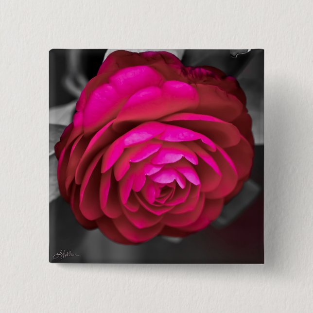 The Rosy Camellia  15 Cm Square Badge (Front)