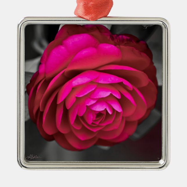 The Rosy Camellia  Metal Tree Decoration (Front)