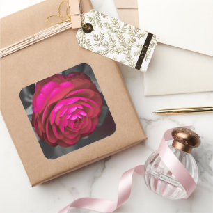 The Rosy Camellia  Square Sticker