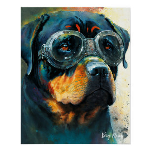 The Rottweiler Dog With Sunglasses 004 Poster
