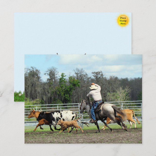 The Roundup - Cowboy Postcard (Front/Back)