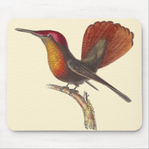 The Ruby Topaz Hummingbird - Rene Primevere Lesson Mouse Pad