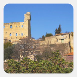 The ruins of the Pope's summer castle in Square Sticker