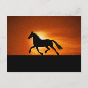 The Running Horse Postcard