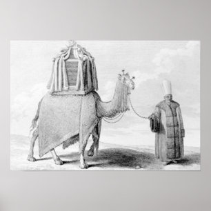 The Sacred Camel Poster