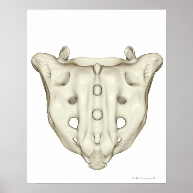 The Sacrum Poster (Front)