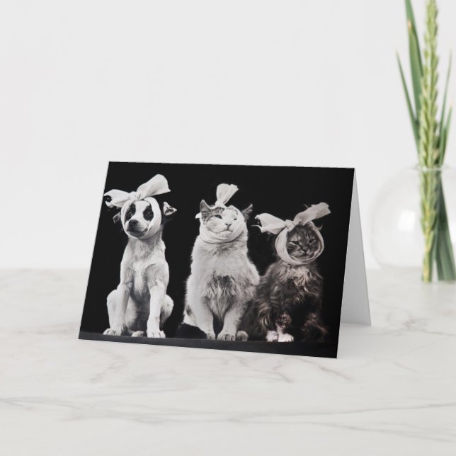 The Sad Trio, Blank Inside Card (Front)