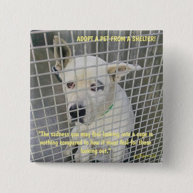 The sadness you see in a shelter dog 15 cm square badge (Front)