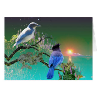 The Same and Different