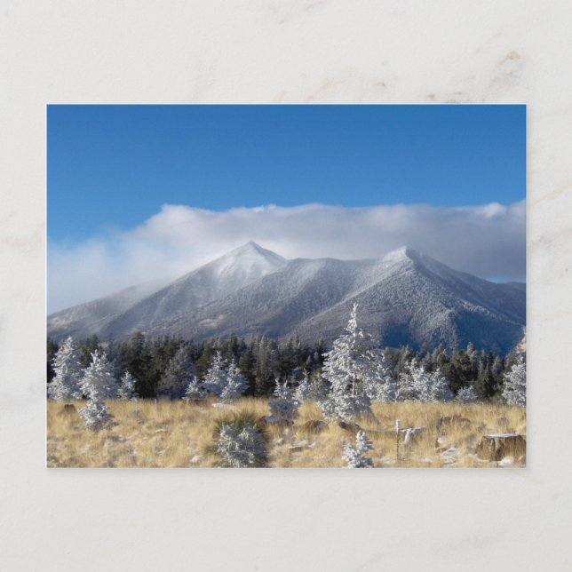 The San Francisco Peaks Of Flagstaff Freshly Coate Postcard (Front)