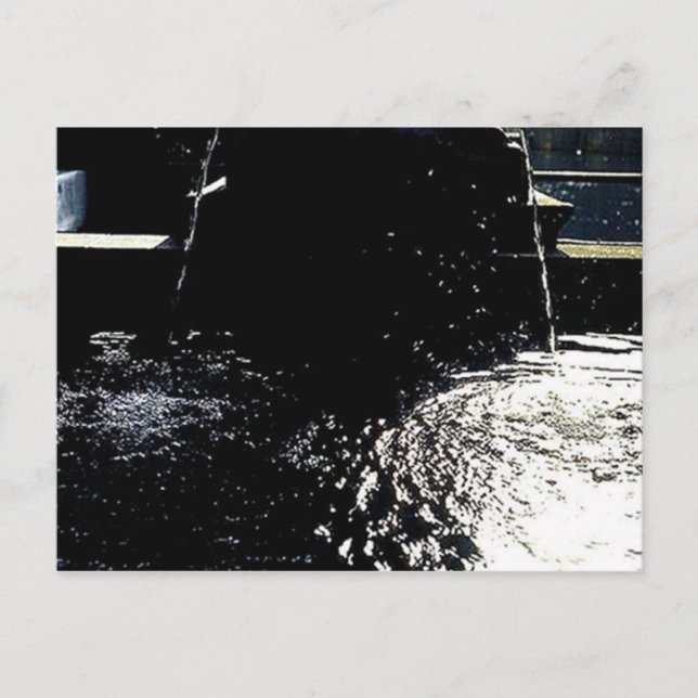 THE SCALES POSTCARD (Front)