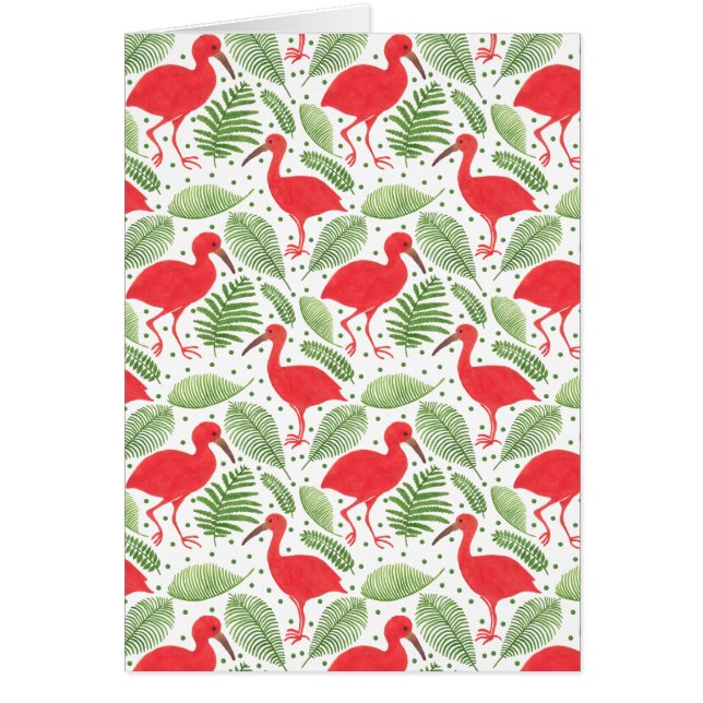 The Scarlet Ibis (Front)