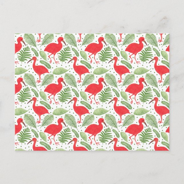 The Scarlet Ibis Postcard (Front)
