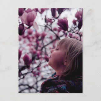 The Scent of Spring Postcard