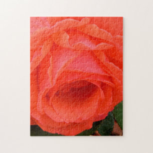 The Scent of the Rose Puzzle